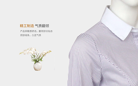 廣州白領紫色對斜條棉質女士長袖襯衫